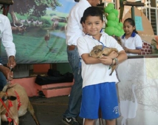 actividades para escuelas